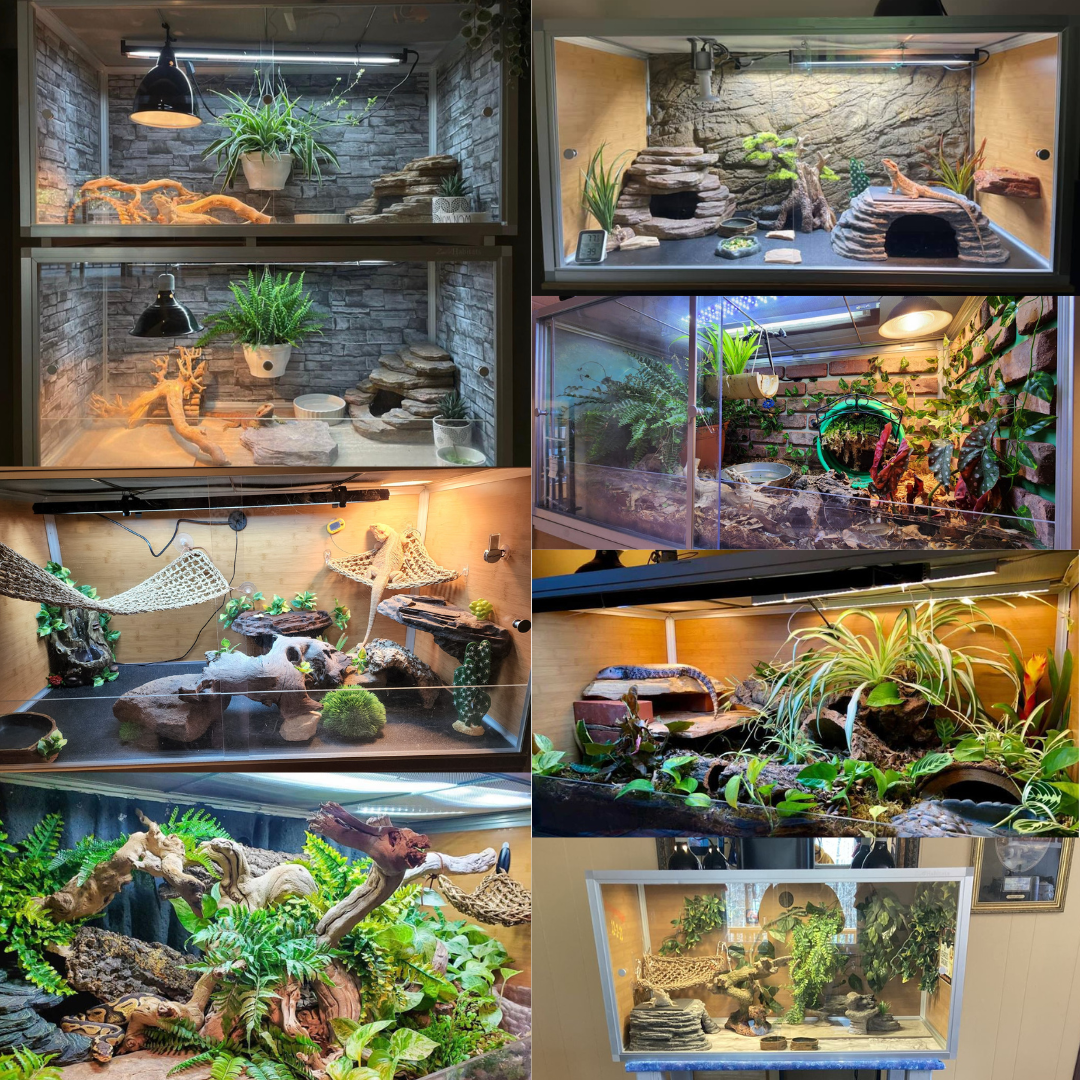 4'x2'x2' Original PVC Reptile Enclosure