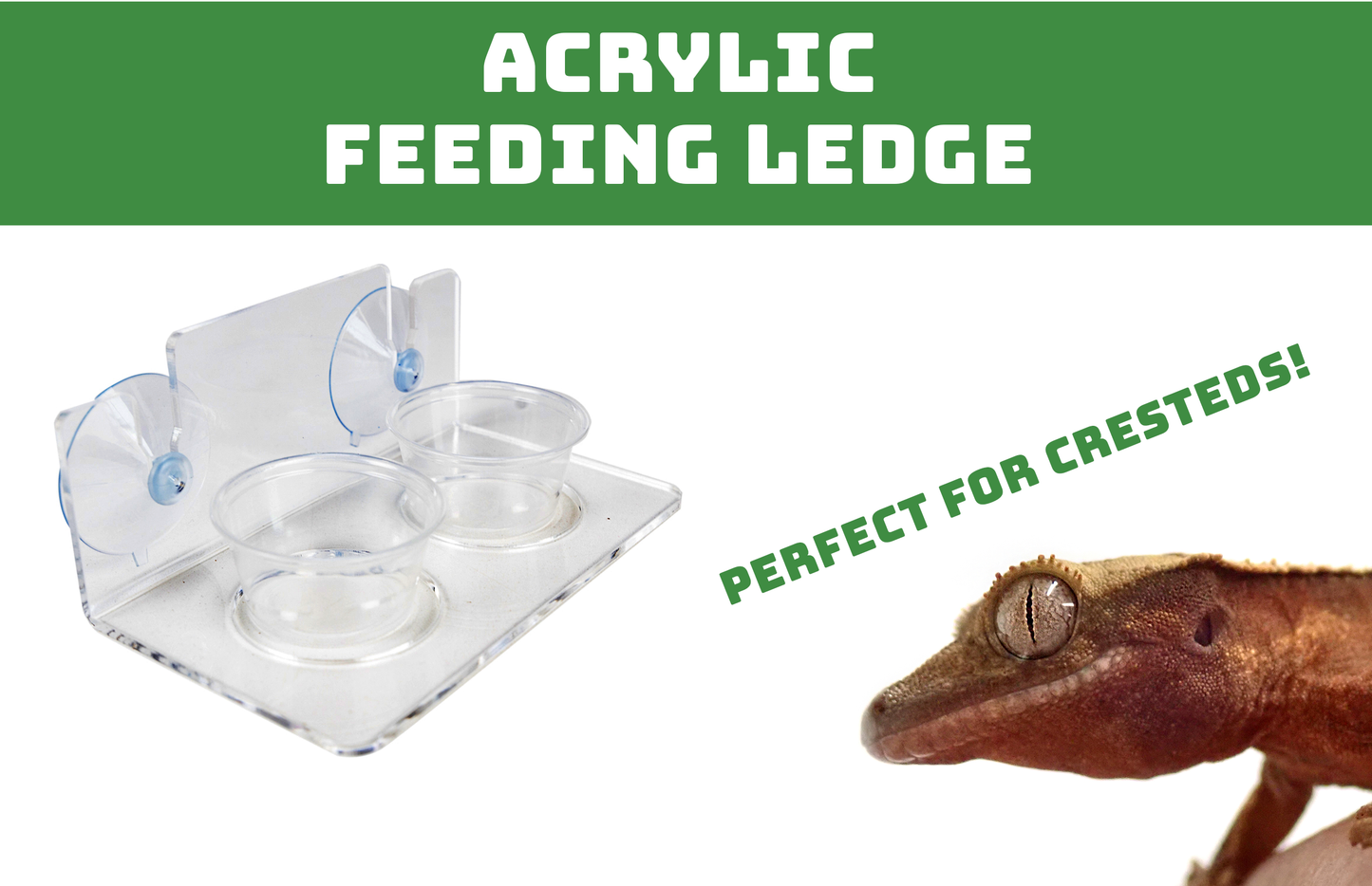 Josh's Frogs Acrylic Feeding Ledge (Holds 2- 2oz cups)