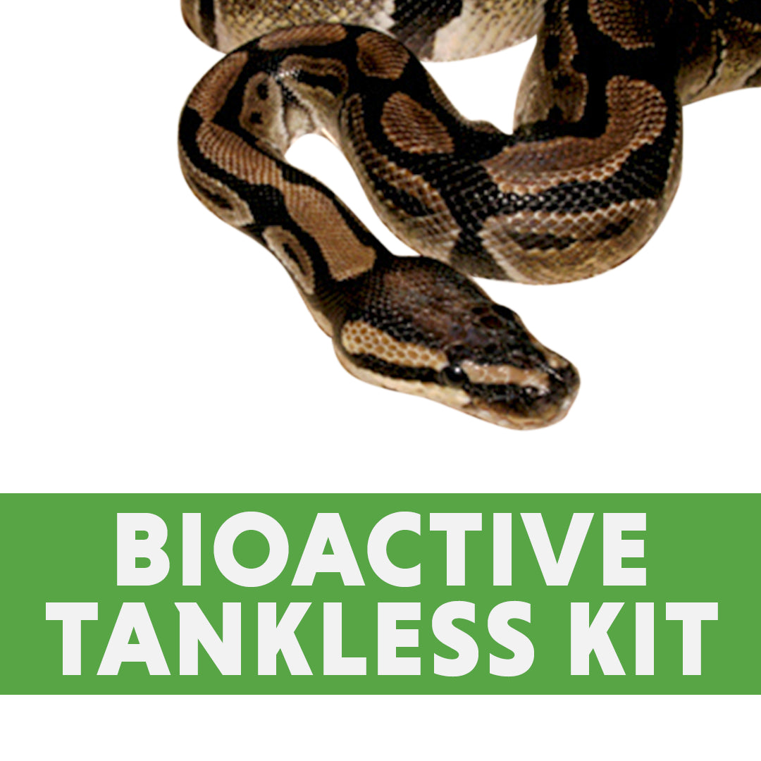 Ball Python Bioactive Tankless Kit (for 4'x2'x2' enclosure)