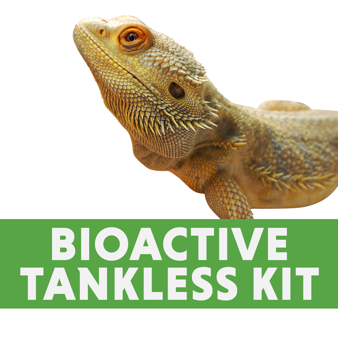 Bearded Dragon Bioactive Tankless Kit (for 4'x2'x2' enclosure)