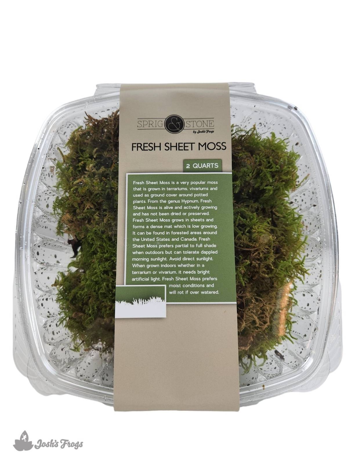 Fresh Sheet Moss (2 quart) Zen Habitats