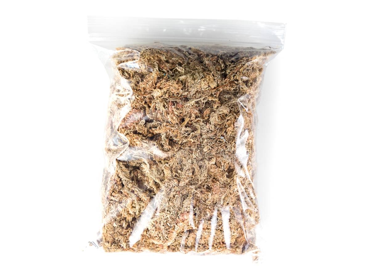 Josh's Frogs Chilean Sphagnum Moss (100g bag)
