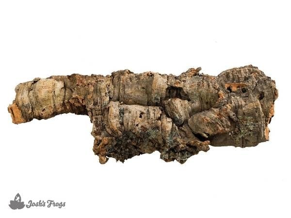 Children's Python Bioactive Ball Python Bioactive Tankless Kit (for 4'x2'x2' enclosure) – Zen Habitats