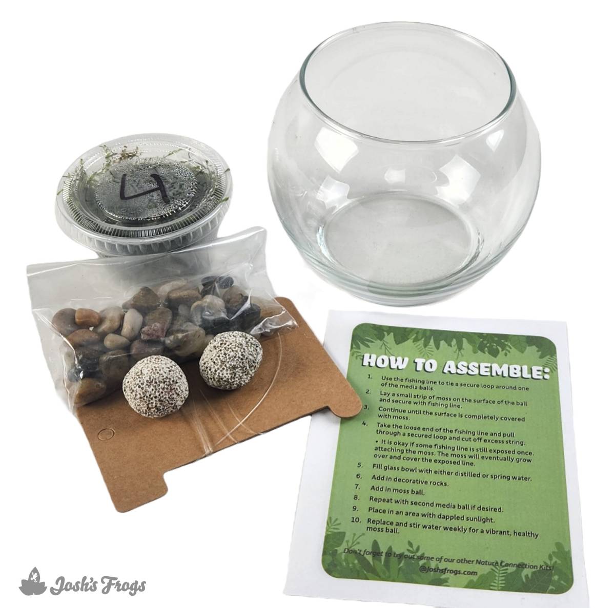 Nature Connection Kit: Do-It-Yourself Moss Ball Aquarium