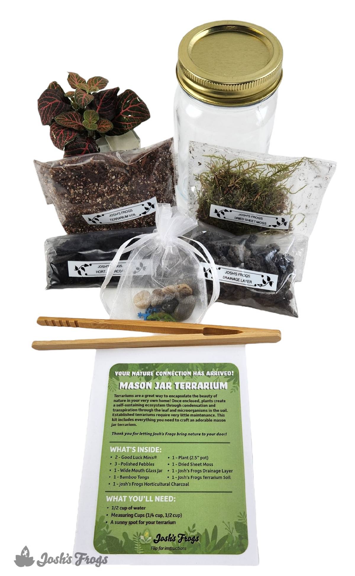 Nature Connection Kit: Mason Jar Terrarium